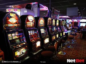 356x|Slots Exclusivos com Giros Grátis – Baixe o App